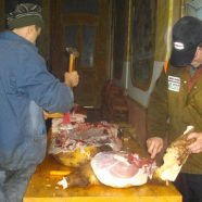 Schweineschlachten bei den Banater Schwaben – DRW-Treffen in Sanktanna