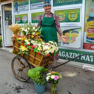 Viel Herzblut für Blumen