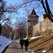 Reparaturarbeiten an Stadtmauer