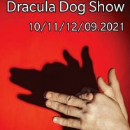 “Dracula”-Hundeschau 2021 in Neumarkt am Mieresch